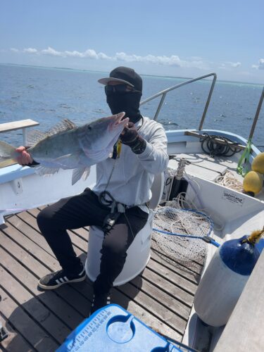 3月12日の釣果