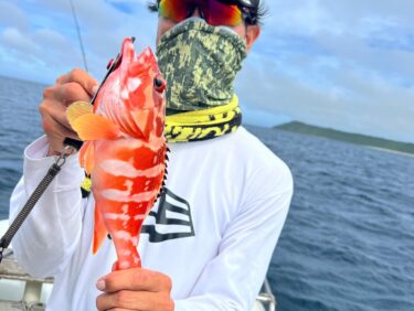 6月17日の釣果
