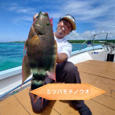 8月22日の釣果