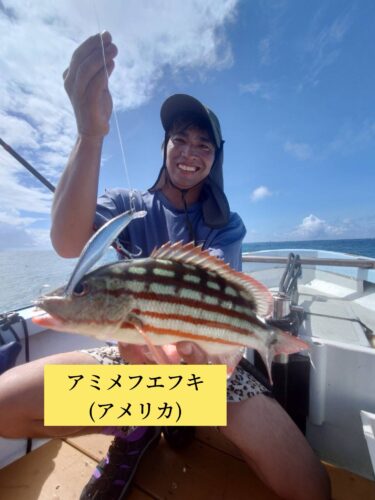 7月31日の釣果