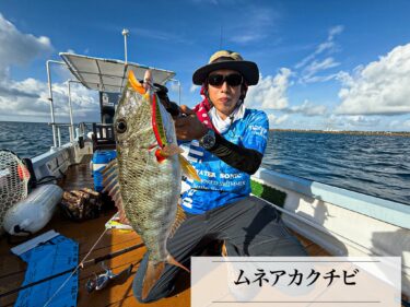 9月26日の釣果