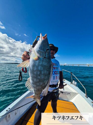 9月11日、12日の釣果