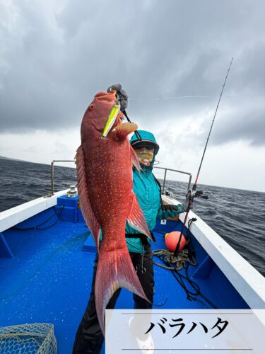 4月6日7日の釣果
