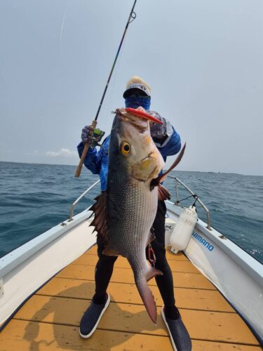 4月14、15日の釣果